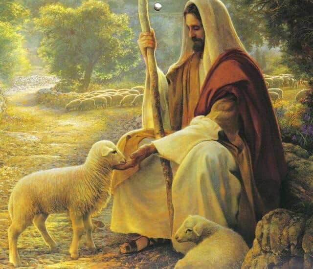 coronavirus solution